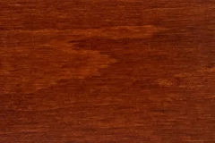 Mediterranean Fig stain