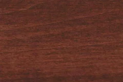 Christmas Cloves stain