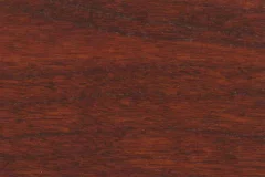Mediterranean Fig stain