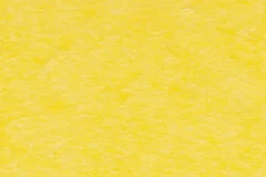 Lemon Yellow color