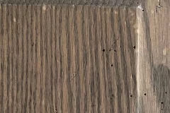Timber Wolf stain