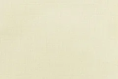 Canvas Birds Eye fabric