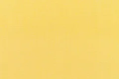 Canvas Buttercup fabric