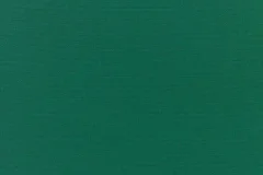 Canvas Forest Green fabric