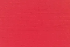 Canvas Logo Red fabric
