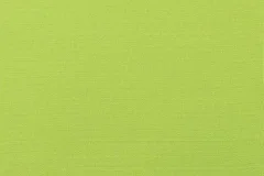 Canvas Macaw fabric