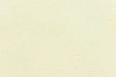 Canvas Natural fabric
