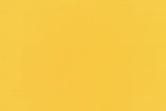 Canvas Sunflower  fabric