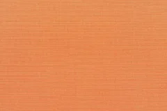 Canvas Tangerine fabric