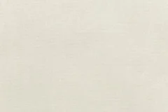 Canvas fabric