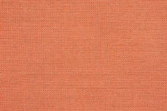 Cast Coral fabric