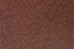 Chestnut Brown color