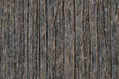 Coastal Gray color