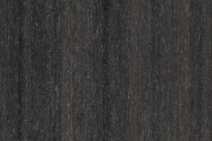 Coastal Gray color