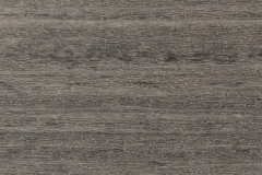 Coastal Gray color