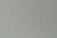 Dove Gray color