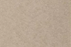 Light Gray color