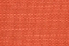Echo Sangria fabric