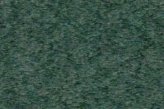 Evergreen color
