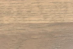 Sand Dollar stain