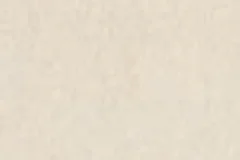 Ivory color