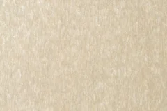 Ivory color