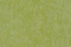 Lime Green color