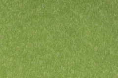 Lime Green color
