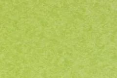 Tropical Lime Green color