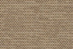Mainstreet Latte fabric