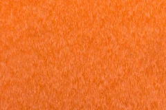 Orange color