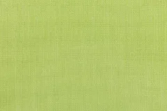 Parrot fabric