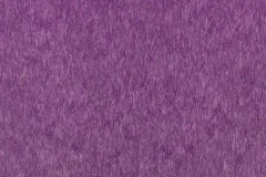 Purple  color