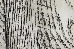 Arrowroot stain