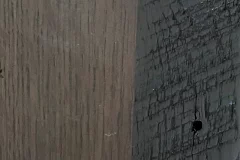 Bison stain