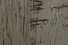 Dove Tale stain