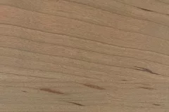 Sand Dollar stain