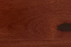 Sassafras stain