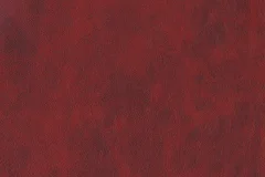 Scarlet leather