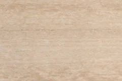 Seashell color