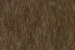 Tudor Brown color