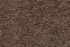 Tudor Brown  color