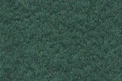 Turf Green  color