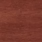 Sassafras stain on Maple