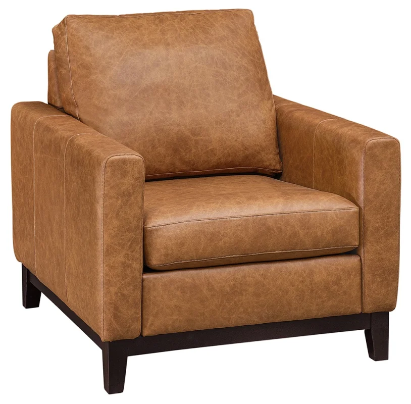 Waconia Living Room Chair