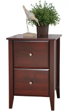 Landmark Lateral File